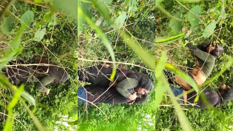 Kerala horny couple full outdoor fucking hidden sex mms