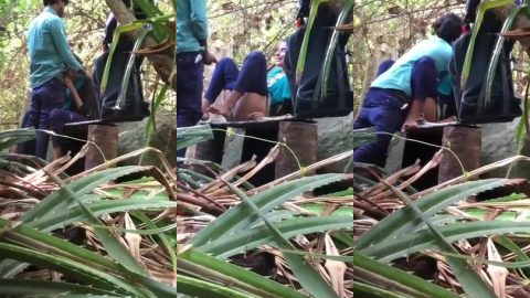 Mallu college couple erotic sex in public park viral mms video