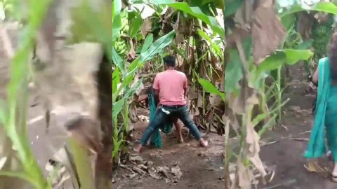 Mallu school teacher and her lover fucking in farm hidden mms