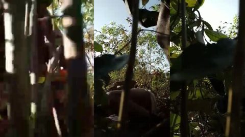 Mature randi bhabhi satisfying two villager boys in jungle
