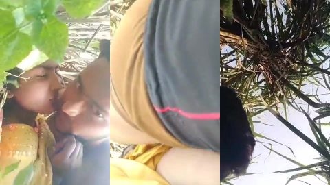 Punjabi village lovers viral hot chudai in farm