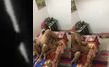 Telugu boy records his cheating milf mother fucking with neighbour uncle