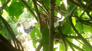 Secret Indian Couple Park Romantic Kissing