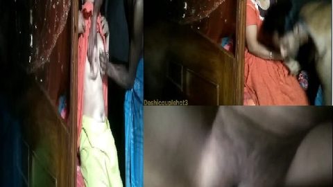Village devar bhabhi sex during the day time
