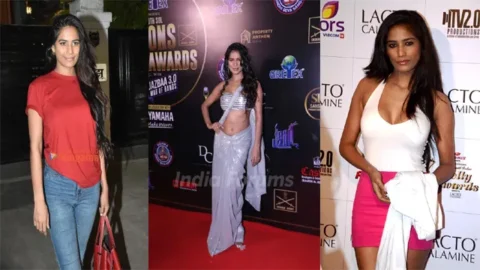 Actress Poonam Pandey Saree Trip Nude Video