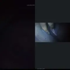 Call girl video service TG 379