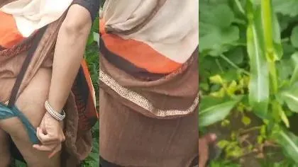 Village Bhabi Fucking Outoor In Crop Field Part 1