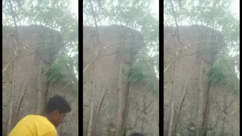 Desi Couple Jungle Passionate Fuck Outdoors