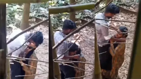 School Girl Outdoor Blowjob - Recorded Secretly Viral Porn Watch
