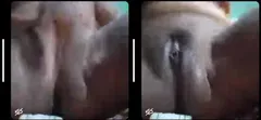 Tg girl video call service mms 369