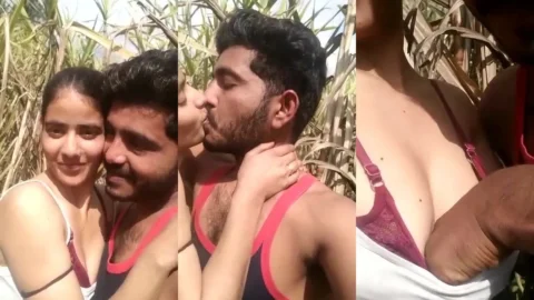 UP couple ki kheto me kissing aur nude boobs ki XXX video