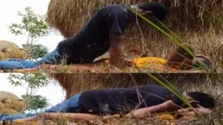Desi gaon ki randiyon ka khula ashiqana chudai ka mms MMS Porn