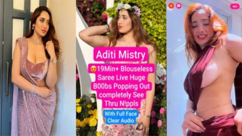 ADITI MISTRY Most Expensive Blouseless Brown Saree Live PART 2 UPDATE Completely HD Porn